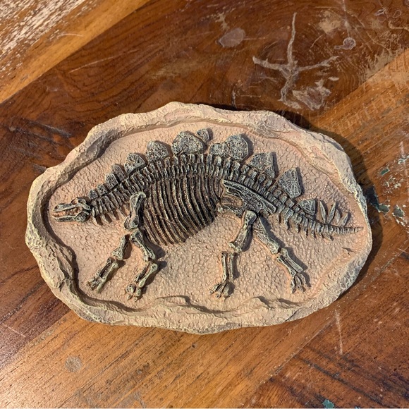 Dinosaur Fossil Plaque - Wall Decor - Picture 4 of 4